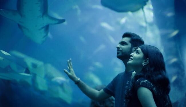 Dubai Aquarium And Underwater Zoo