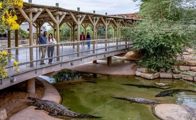 Dubai Crocodile Park Overview