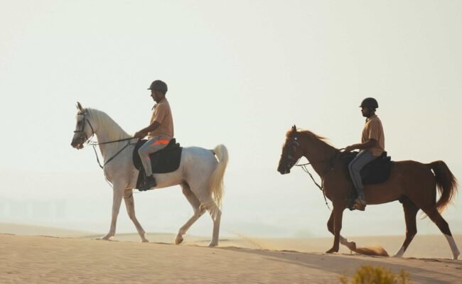 Horse Riding At Abu Dhabi