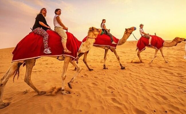 Premium Desert Safari Overview