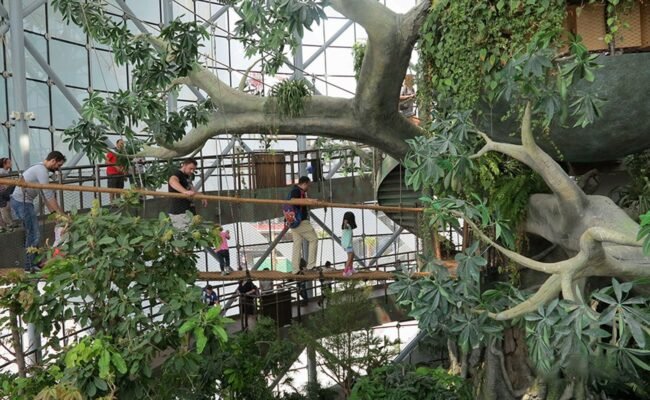 The Green Planet Dubai Overview
