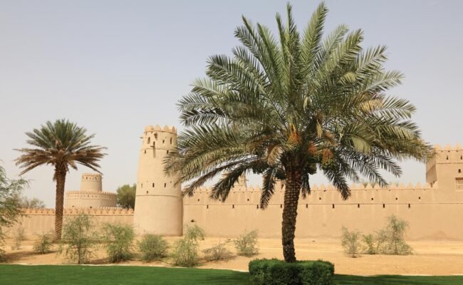 6 Emirates In A Day Tour