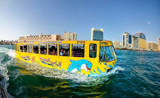 Wonder Bus Sea And Land Adventure Tours